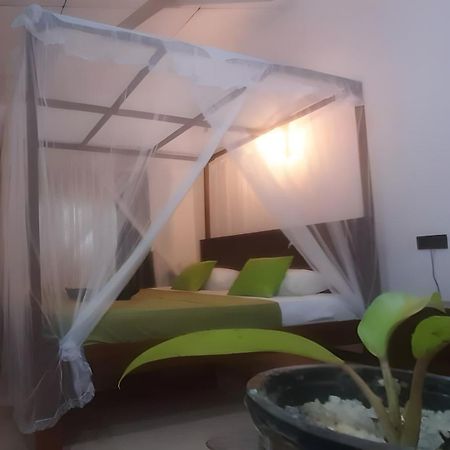 Dickwella Green Villa 외부 사진