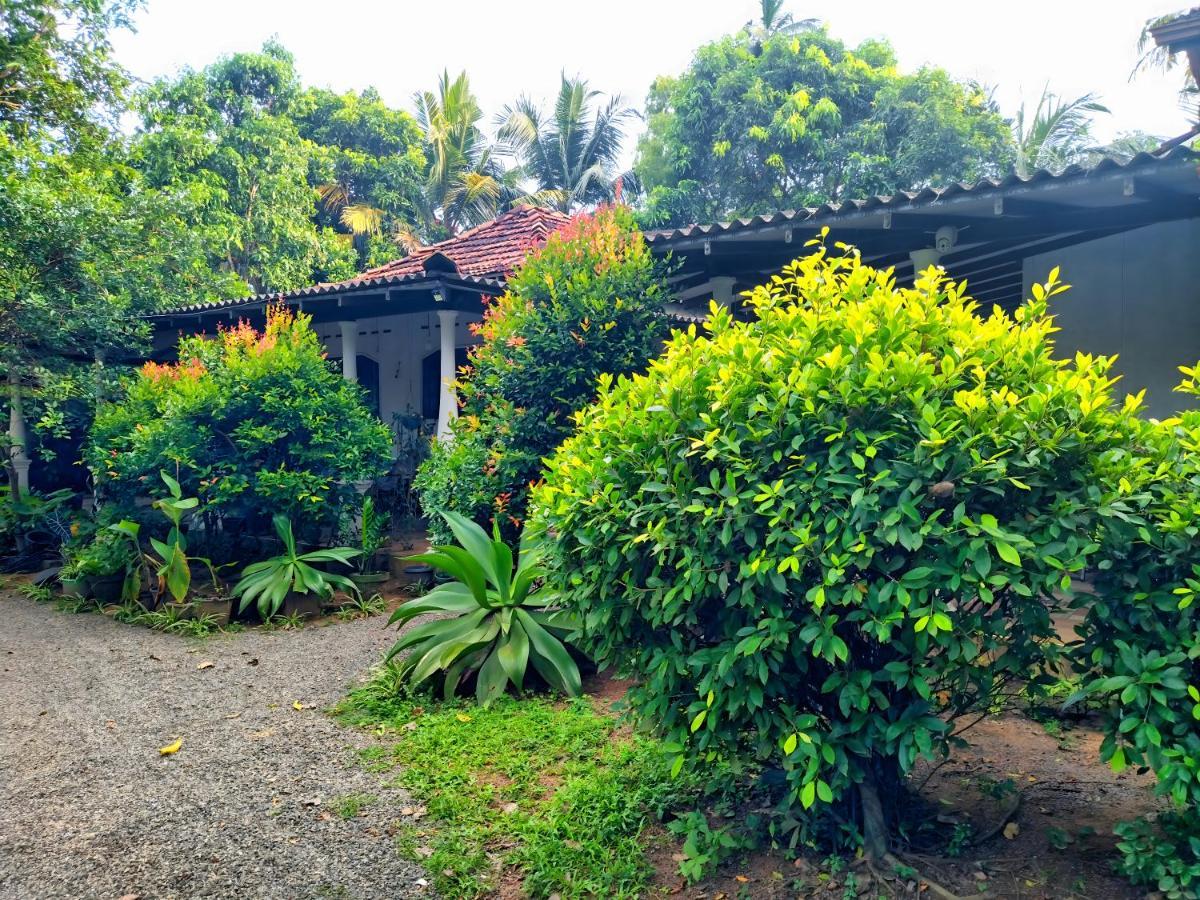 Dickwella Green Villa 외부 사진